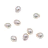 No Hole Cultured Freshwater Pearl Beads, DIY 11-12mm 