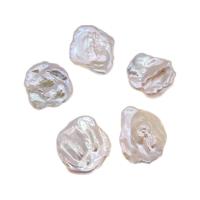 No Hole Cultured Freshwater Pearl Beads, DIY, white, 18-30mm 