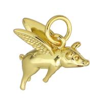 Animal Brass Pendants, Pig, gold color plated Approx 3mm 