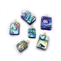 Abalone Shell Pendants, with Brass, Rectangle, gold color plated, DIY 6-25mm 