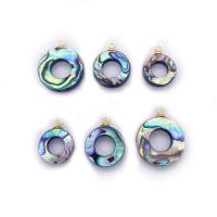 Abalone Shell Pendants, with Brass, Round, gold color plated, DIY 13-18mm 