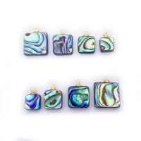 Abalone Shell Pendants, with Brass,  Square, gold color plated, DIY 10-14mm 