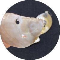 Pendentifs Shell strass, coquille, avec argile & perle de plastique & laiton, Placage de couleur argentée, styles différents pour le choix, couleurs mélangées Vendu par PC