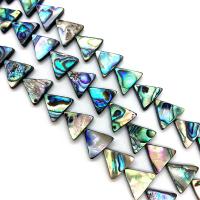 Abalone Shell Beads, Triangle, DIY, 13mm [