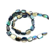 Abalone Shell Beads, DIY 8x10-18mm 