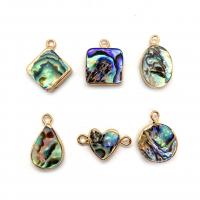 Abalone Shell Pendants, with Brass, gold color plated 10x18-19mm 