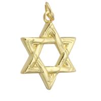 Brass Jewelry Pendants, Star, gold color plated, DIY, golden Approx 3mm 