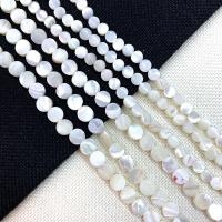 Trochus Shell Perle, flache Runde, DIY & verschiedene Größen vorhanden, weiß, Länge:ca. 15 ZollInch, verkauft von Strang