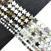 Black Shell Beads, Star, DIY black Approx 15 Inch 