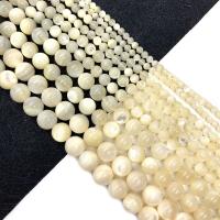 La Perla de Concha Natural, Nácar, Esférico, Bricolaje & diverso tamaño para la opción, Blanco, longitud:aproximado 15 Inch, Vendido por Sarta