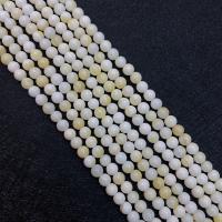 Natural Freshwater Shell Beads, Round, DIY Approx 15 Inch 