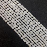 Trochus Shell Perle, Tropfen, poliert, DIY & verschiedene Größen vorhanden, keine, Länge:ca. 15 ZollInch, verkauft von Strang