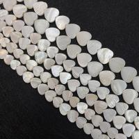 Trochus Shell Perle, Herz, DIY & verschiedene Größen vorhanden, weiß, Länge:ca. 15 ZollInch, verkauft von Strang