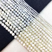 Turbanschnecken Perlen, Hufeisen+Schale, rund, DIY & verschiedene Größen vorhanden, keine, Länge:ca. 15 ZollInch, verkauft von Strang