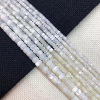 Turbanschnecken Perlen, Trochus Shell, Zylinder, DIY & verschiedene Größen vorhanden, weiß, Länge:ca. 15 ZollInch, verkauft von Strang