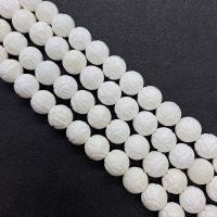 Natural White Shell Beads, Round, Carved, DIY white Approx 15 Inch 