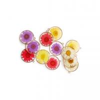 Resin Zinc Alloy Pendants, with Dried Flower & Zinc Alloy, Flat Round, gold color plated, Unisex & epoxy gel 30mm, Approx 