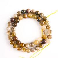 Pietersite Beads, Round, polished, DIY, 10mm .96 Inch 