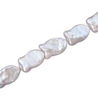 Keshi Cultured Freshwater Pearl Beads, DIY, white Approx 15 Inch 
