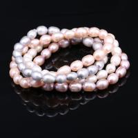 Perlen Armbänder, Natürliche kultivierte Süßwasserperlen, für Frau, keine, 7-8mm, ca. 24PCs/Strang, verkauft von Strang