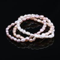 Perlen Armbänder, Natürliche kultivierte Süßwasserperlen, für Frau, keine, 6-7mm, ca. 27PCs/Strang, verkauft von Strang