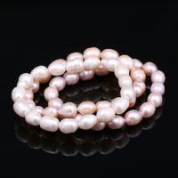 Perlen Armbänder, Natürliche kultivierte Süßwasserperlen, für Frau, keine, 8-9mm, ca. 18PCs/Strang, verkauft von Strang