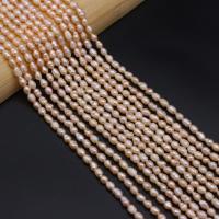 Rice Cultured Freshwater Pearl Beads, DIY, orange, 4-5mm Approx 14.17 Inch 