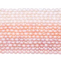 Rice Cultured Freshwater Pearl Beads, DIY 4-5mm, Approx 
