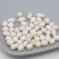 Natural Freshwater Pearl Loose Beads, Rice, DIY white, Approx 