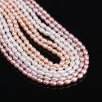 Rice Cultured Freshwater Pearl Beads, DIY 4-4.5mm, Approx 