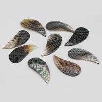 Pendentifs de coquillage naturel, coquille, forme d'aile, gravé, unisexe, plus de couleurs à choisir Vendu par PC