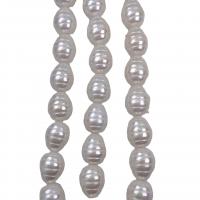 Muschelkern Perle, Tropfen, plattiert, DIY, weiß, 13x17mm, Länge:ca. 15 ZollInch, verkauft von Strang