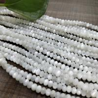 Natural White Shell Beads, Flat Round, polished, DIY, white .96 Inch 