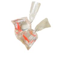 Kit para DIY Móvil , resina, con Plástico, pez de colores, Bricolaje, naranja rojizo, 22x22mm, aproximado 100PCs/Bolsa, Vendido por Bolsa