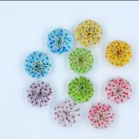 Glass Beads, with Dried Flower, Dome, gradient color 20mm 