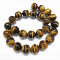 Tiger Eye Beads, Round, polished, DIY mixed colors .35 Inch 