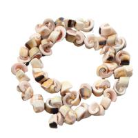 Perles en coquille naturel, fait à la main, DIY, couleurs mélangées cm Vendu par brin