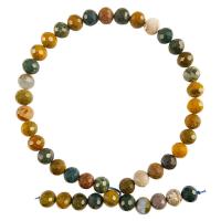 Natural Ocean Agate Beads, Round, Star Cut Faceted & DIY mixed colors .35 Inch 