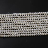 Bouton de culture des perles d'eau douce, perle d'eau douce cultivée, DIY & styles différents pour le choix, blanc, 4-5mm .96 pouce, Vendu par brin