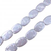 Muschelkern Perle, DIY, weiß, 15x20mm, Länge:ca. 38 cm, 20PCs/Strang, verkauft von Strang