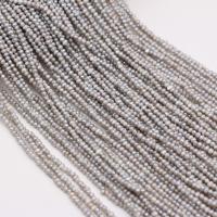 Baroque Cultured Freshwater Pearl Beads, DIY, grey, 2.5-3mm Approx 38 cm 