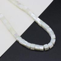 Abalorios de Nácar Blanca Natural, Cuadrado, Bricolaje, Blanco, 6mm, longitud:aproximado 38 cm, Vendido por Sarta