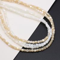 Perles en coquille naturel, Carré, DIY, plus de couleurs à choisir, 2-12mm Environ 38 cm, Vendu par brin