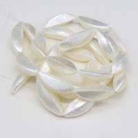 Perles en coquille naturel, DIY, blanc, 5-30mm Environ 38 cm, Vendu par brin