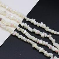 Perles en coquille naturel, DIY, blanc Environ 38 cm, Vendu par brin