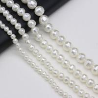 South Sea Shell Beads, Shell Pearl, Round, DIY & faceted, white Approx 38 cm 