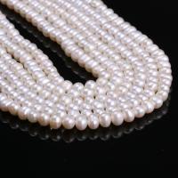 Potato Cultured Freshwater Pearl Beads, DIY, white, 5-6mm Approx 38 cm 