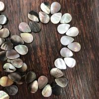 Black Lip Shell Beads, Teardrop, DIY .96 Inch 