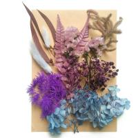 Flores secas Decoración de flores, Bricolaje & diferentes estilos para la opción, más colores para la opción, 210x145mm, Vendido por Bolsa