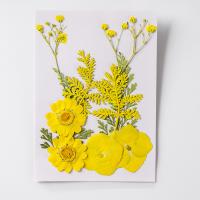Flores secas Decoración de flores, Bricolaje & diferentes estilos para la opción, más colores para la opción, 120x85mm, Vendido por Bolsa